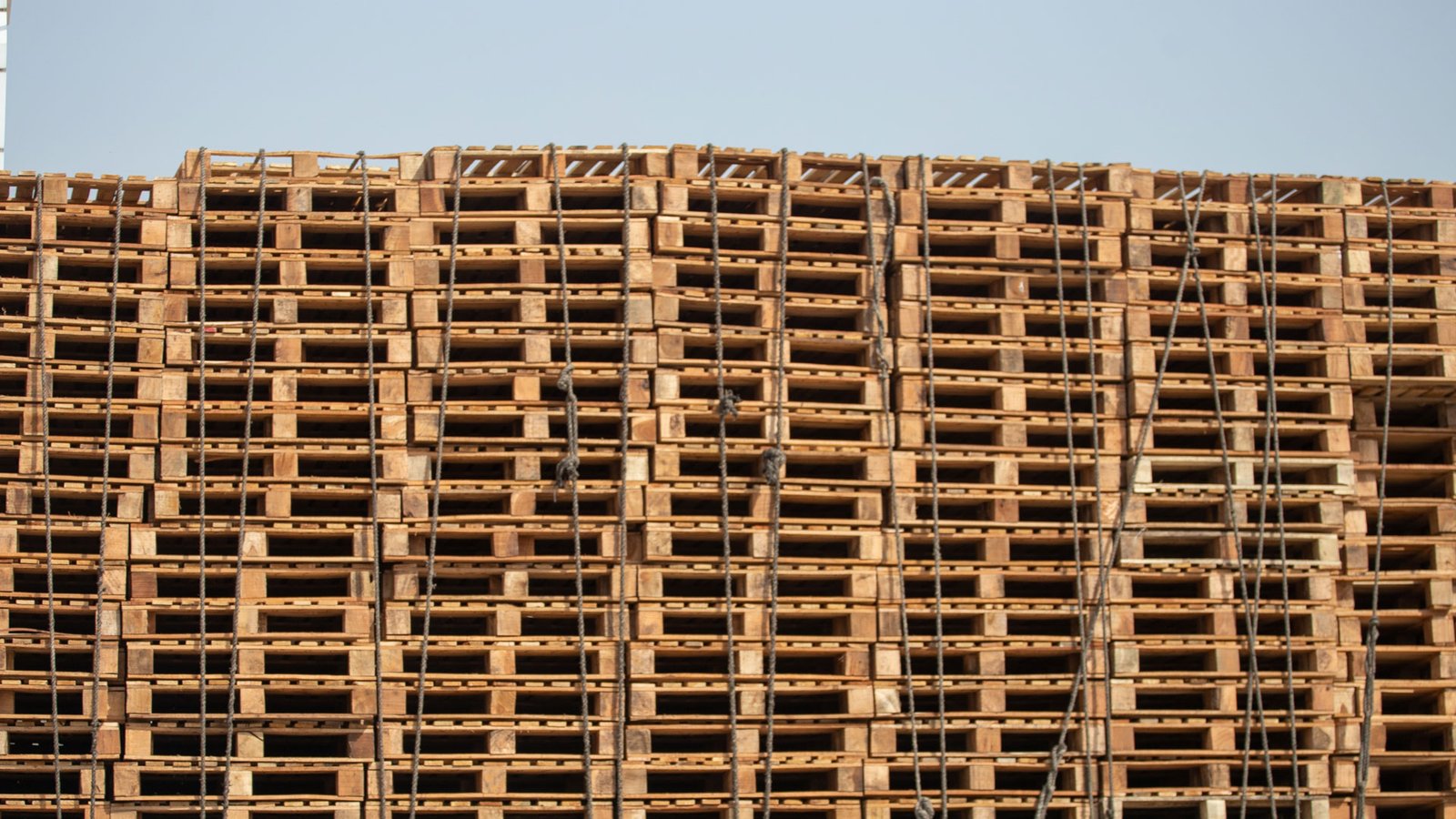 Pallets Usadas
